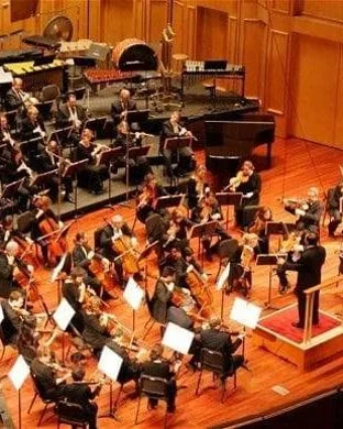 Delirium Musicum Chamber Orchestra Saratoga