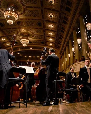 CelloVoci Modesto