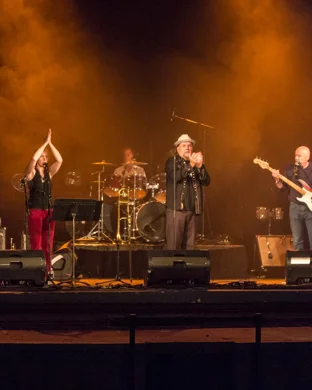 Rick Estrin and The Nightcats Livermore