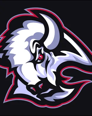 Buffalo Sabres Buffalo