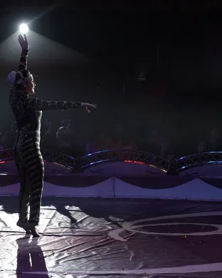 Circus Caballero Modesto