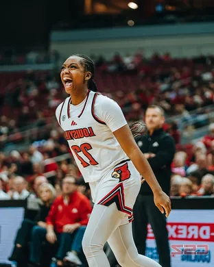 Louisville Cardinals Women's Basketball Louisville