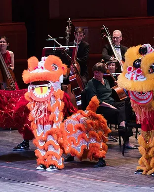 Lunar New Year Celebration San Francisco