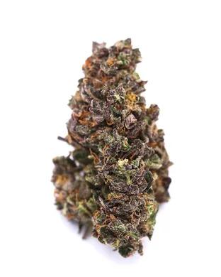 Purple Haze Mill Valley