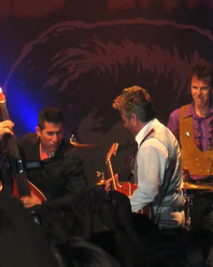 Stray Cats Saratoga