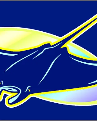 Tampa Bay Rays St. Petersburg