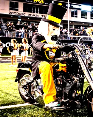 Wake Forest Demon Deacons Football Winston Salem