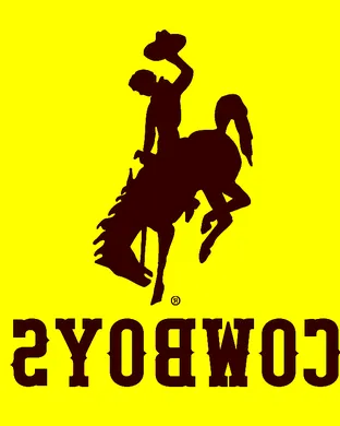 Wyoming Cowboys Football San Jose