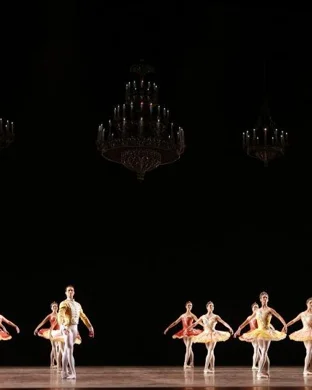 Swan Lake - Symphony of Lights Hayward
