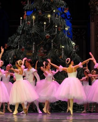 The New Ballet San Jose