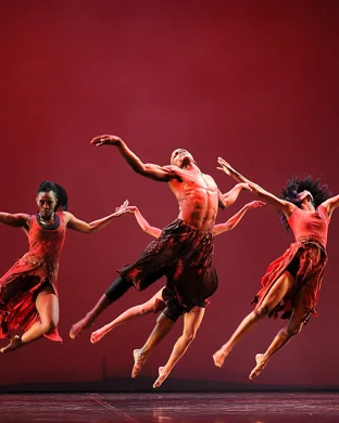 Creative Culture Dance Academy San Jose